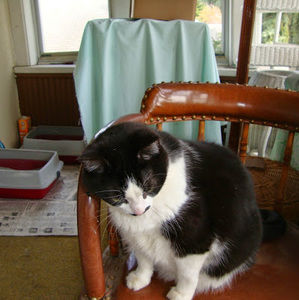 Meet your Posher, Sharon